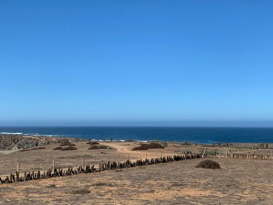 Terreno Huentelauquén Frente Al Mar Con Bajada A La Playa