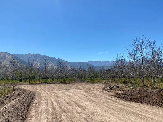 El  Palpi S/n Parcela 7 