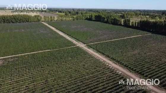 Finca En Venta 