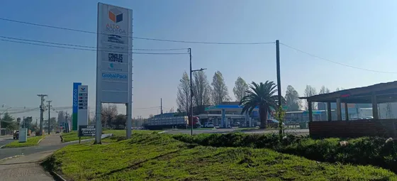 Bodega B: 1000 M2 (100880)