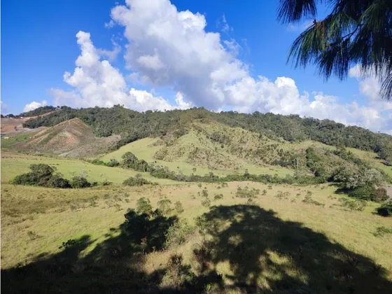 Vendo Finca En La Unión Antioquia 15 Hectareas (24 Cuadras) 