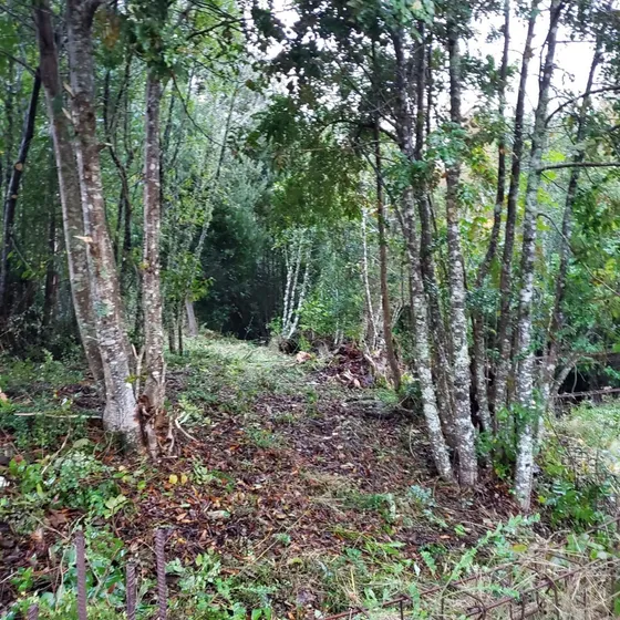 Sitio En Venta En Valdivia