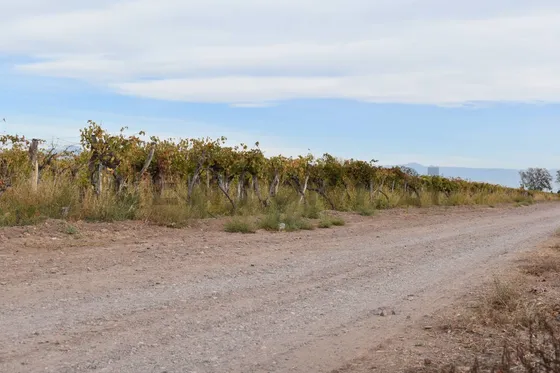 Finca A La Venta San Martin
