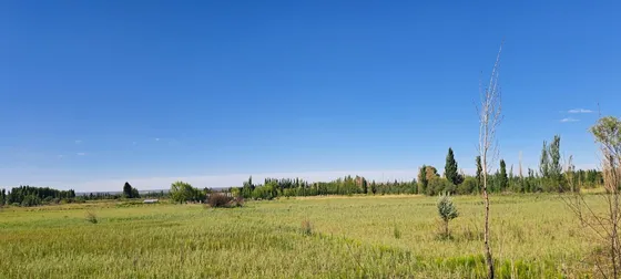 Venta De Chacra En Cervantes, 18 Hectareas