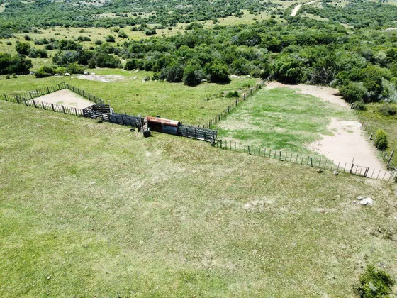 Venta, Campo 55 Hectáreas, Camino Cerro Pelado Lavalleja
