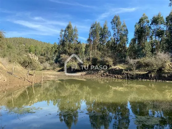 Sitio En Venta En Vichuquén