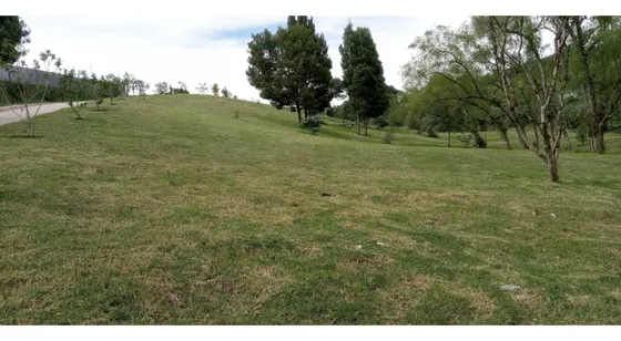 Lote En Venta Sector La Acuarela, Alto De Palmas - Envigado 