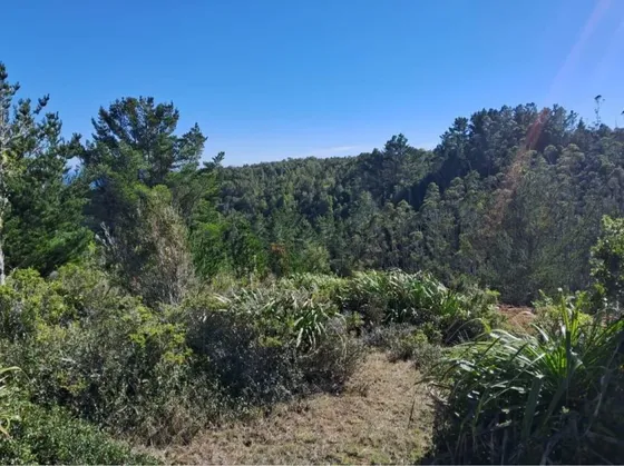 Gran Oportunidad De Parcelas En Valdivia