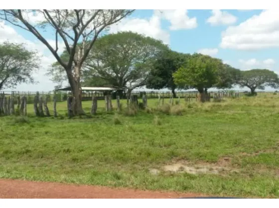 Venta De Finca En Tinaco C-6204058
