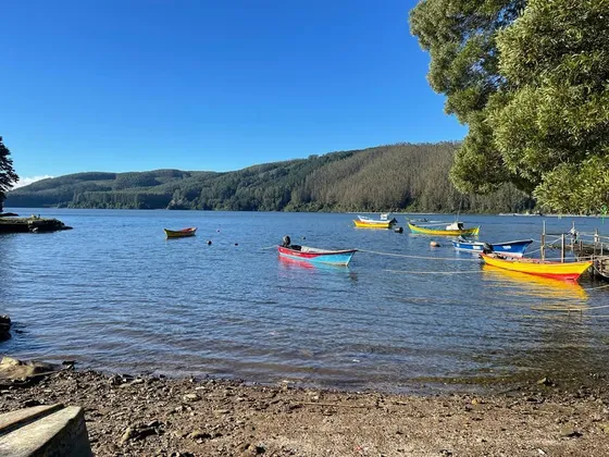 Terreno En Venta En Valdivia