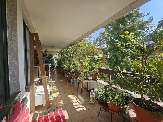 Amplio Departamento Para Remodelar En Luis Pasteur 