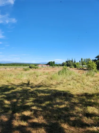 En Venta Parcela 4has En Parral