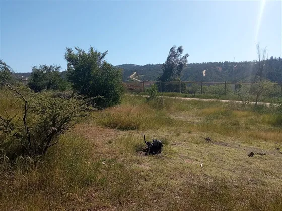 Terreno Construccion  En Venta En Quilpué