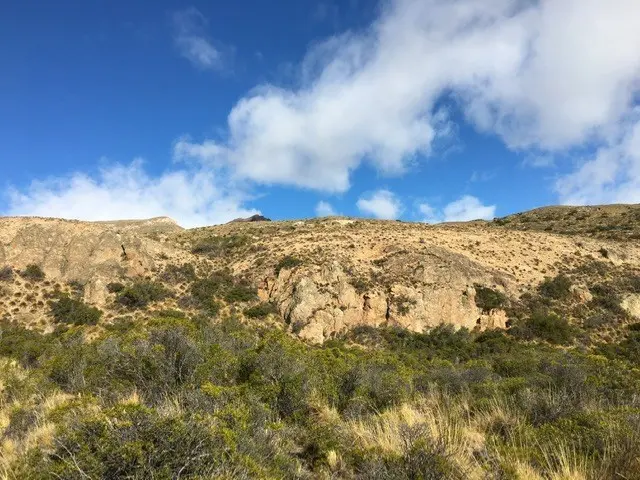 Ranch property photo in Puerto Guadal