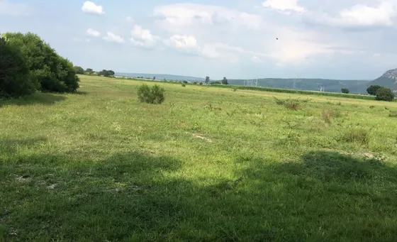 Se Venden 69 Hectareas 800m2 Pegado A Honda