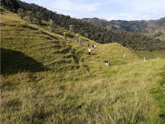 Lote En Venta De 1.386 M2, Concepción 