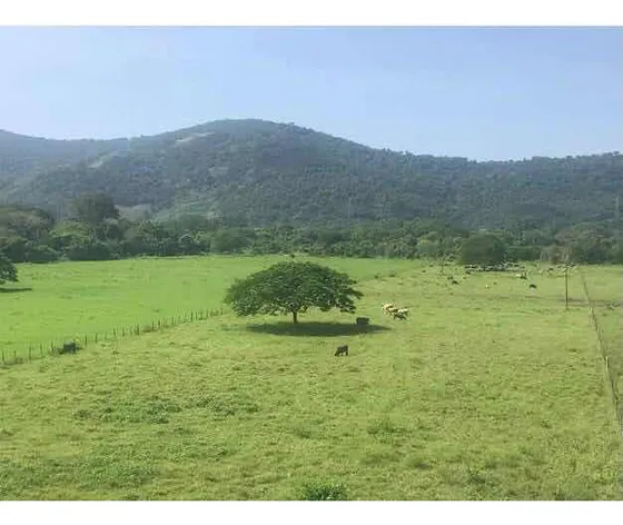 Finca Lechera Venta Barcelona 274 Has