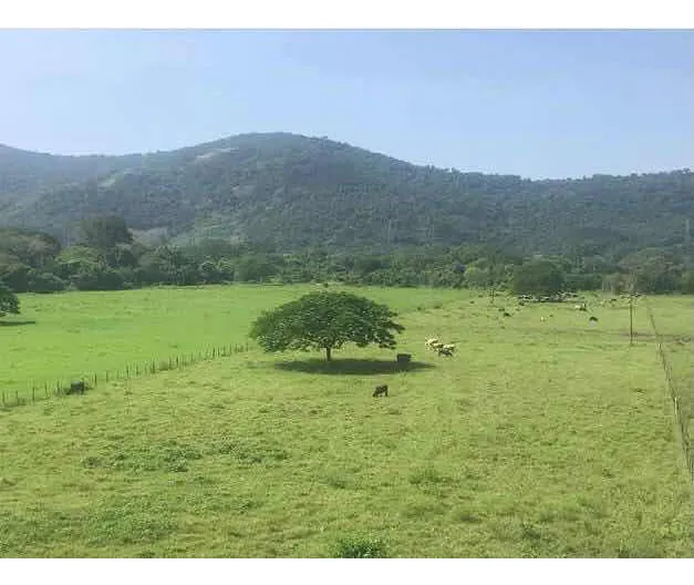Finca Lechera Venta Barcelona 274 Has