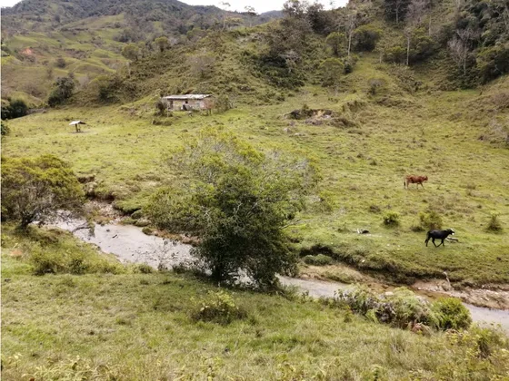 Hermoso Lote En Venta Vereda Toscana -  Alejandría 