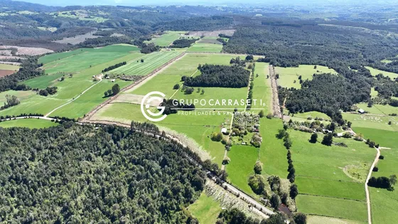 Campo 82 Ha Los Muermos