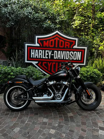 Harley Davidson Slim Año 2020 Usada Seleccionada