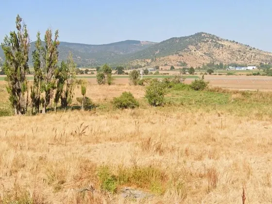 Terreno Agrícola En Venta, Campo De 49 Ha, San Javier