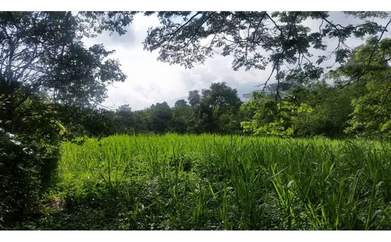 Lote En Venta En Conjunto Cerrado De Palestina Caldas | Venta Lote