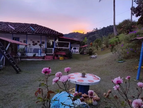 Venta Finca Cafetera Balboa, Risaralda