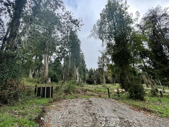 Se Vende Parcela En Frutillar