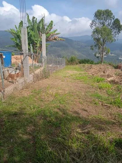 Best House Vende Terreno En Pozo De Rosa ( El Alambique ) C