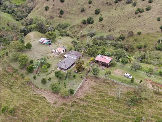 Se Vende Finca En Yolombó A 300 Metros De La Via Principal 