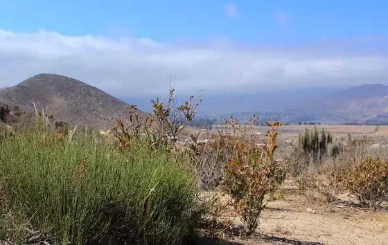 Terrenos De La Serena En Sector Quilacán (valle De Elqui)