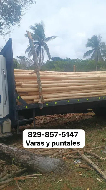 Maderas Puntales