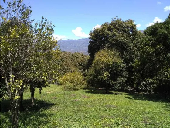 Lote / Terreno En Venta En San Jerónimo Antioquia, Colombia.
