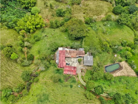 Se Vende Finca En Belalcázar Caldas