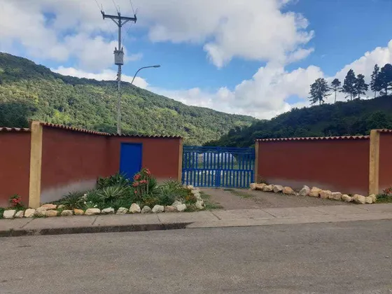 Finca Venta Caripe 8000 M2 De  Invernadero 