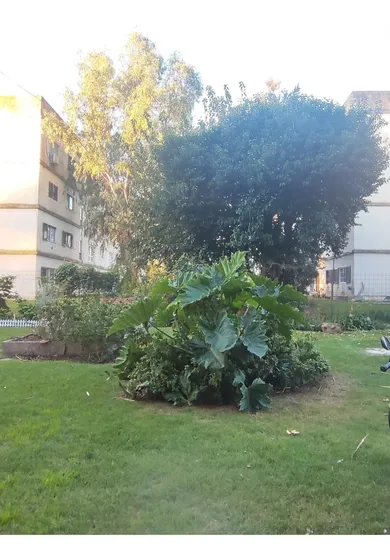 Depto 2 Ambientes Venta Don Torcuato Exc Ubicacion