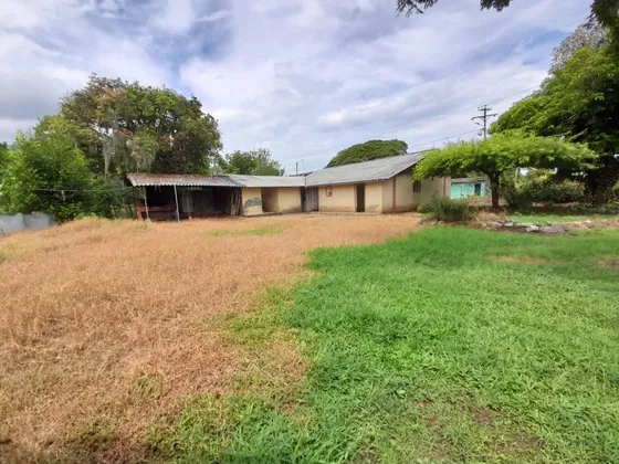 Corregimiento La Zapata - Finca En Venta Palmira Valle Del Cauca
