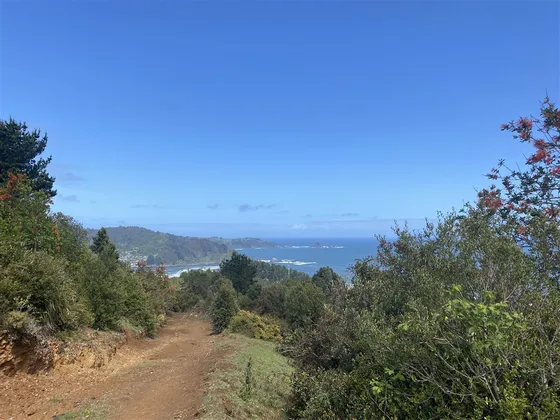 Parcela En Venta En Mariquina