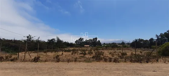Sitio En Venta En Los Vilos