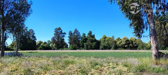 Agrícola En Venta En San Ignacio