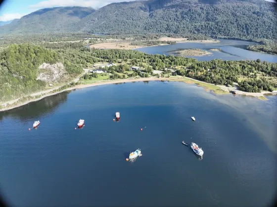 Punta Cubillos 4 Ha: Con Orilla De Mar En Puerto Cisnes