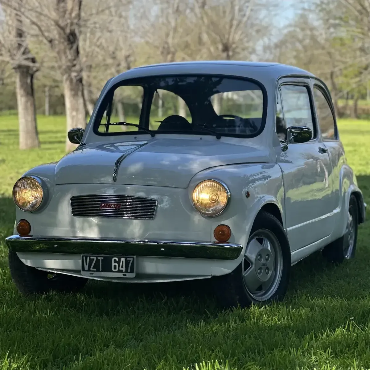 Fiat 600 0.6542242271942430721
