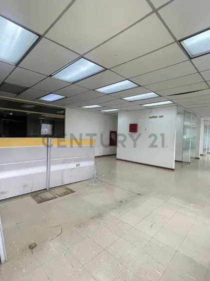 Macaracuay Dos Oficinas De 598 M² Cada Una - Alquiler Completo O Separado