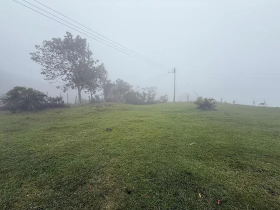 Terrno En La Montaña