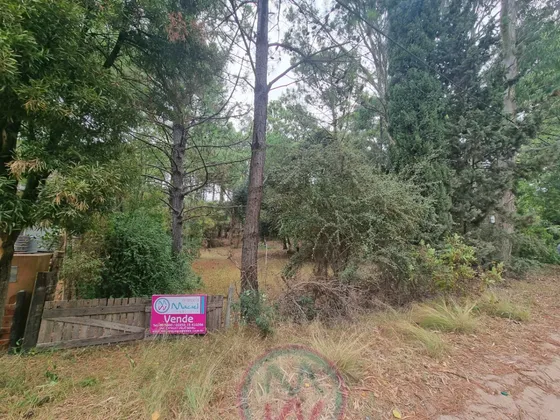 Venta Terreno / Lote Las Gaviotas