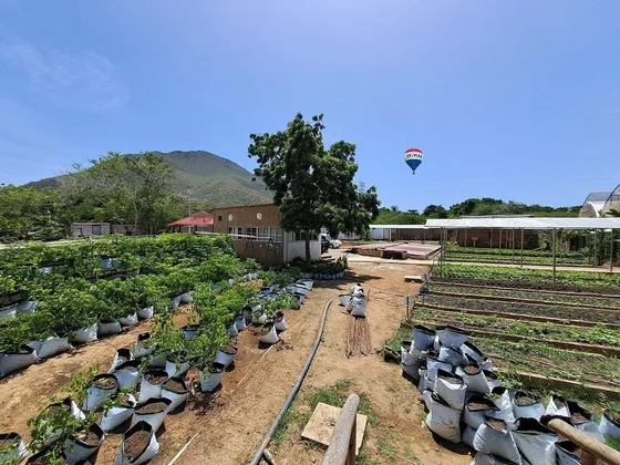 Granja De Horticultura Y Transporte De Agua, Camoruco, Arismendi, Isla De Margarita