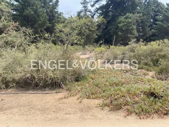 Estupendo Sitio En Los Pinos