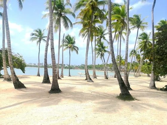 Villa En Venta En El Exclusivo Complejo De Playa Nueva Romana (primera Línea De Playa)