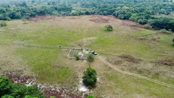 Em Finca En Venta En El Municipio Fernández Feo 